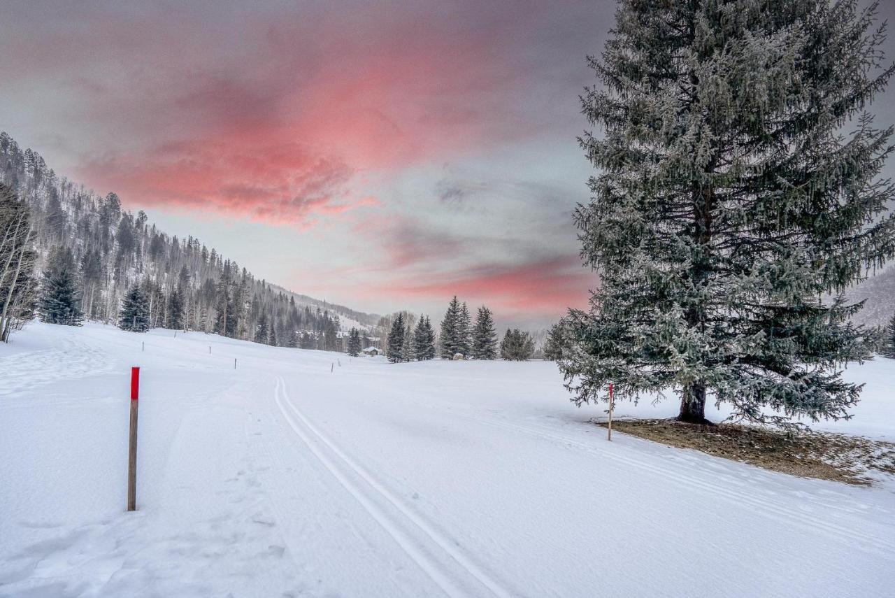 998 Ptarmigan Road Holiday home Vail