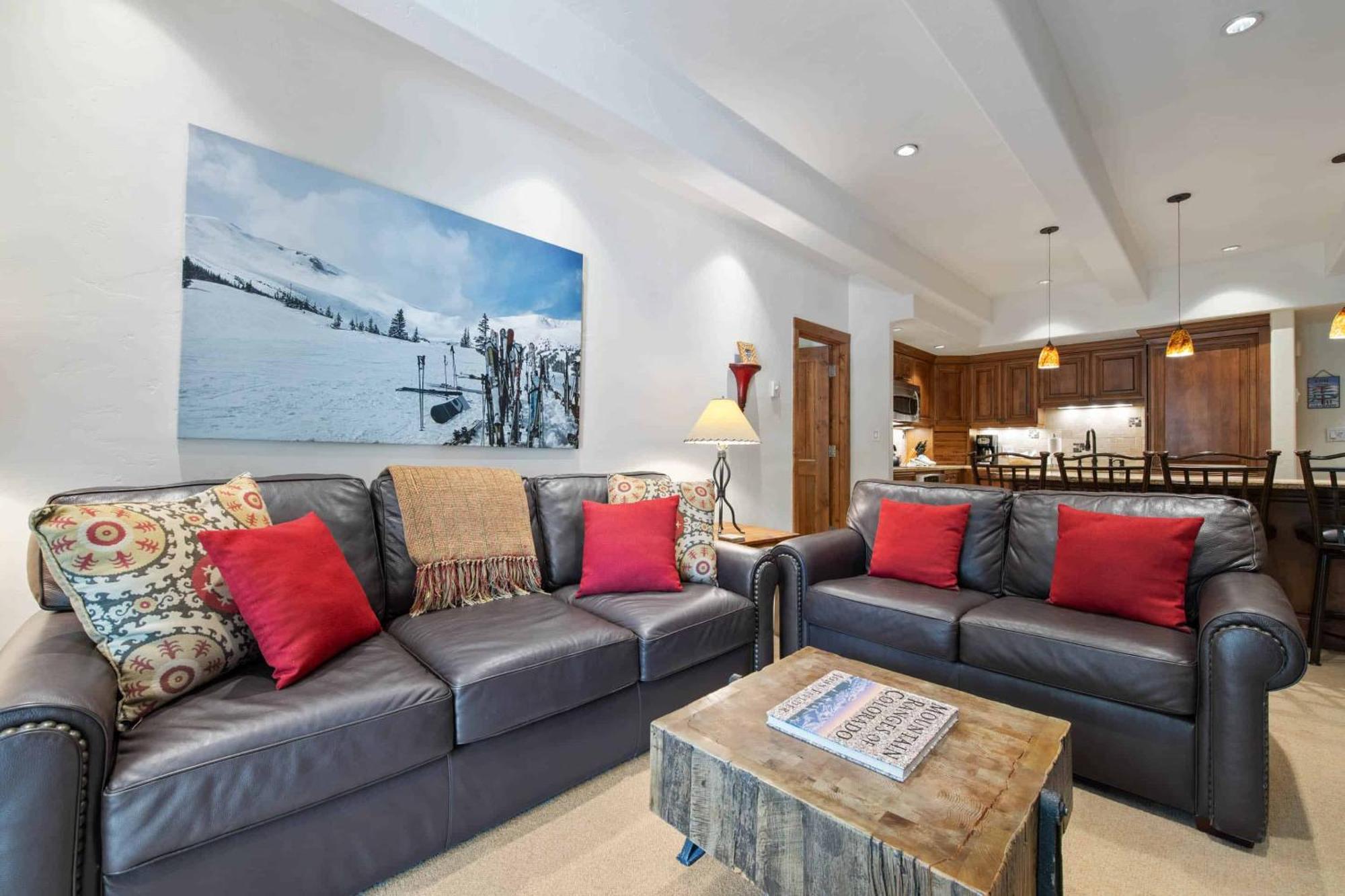 Apartment At Lionshead 220a Vail