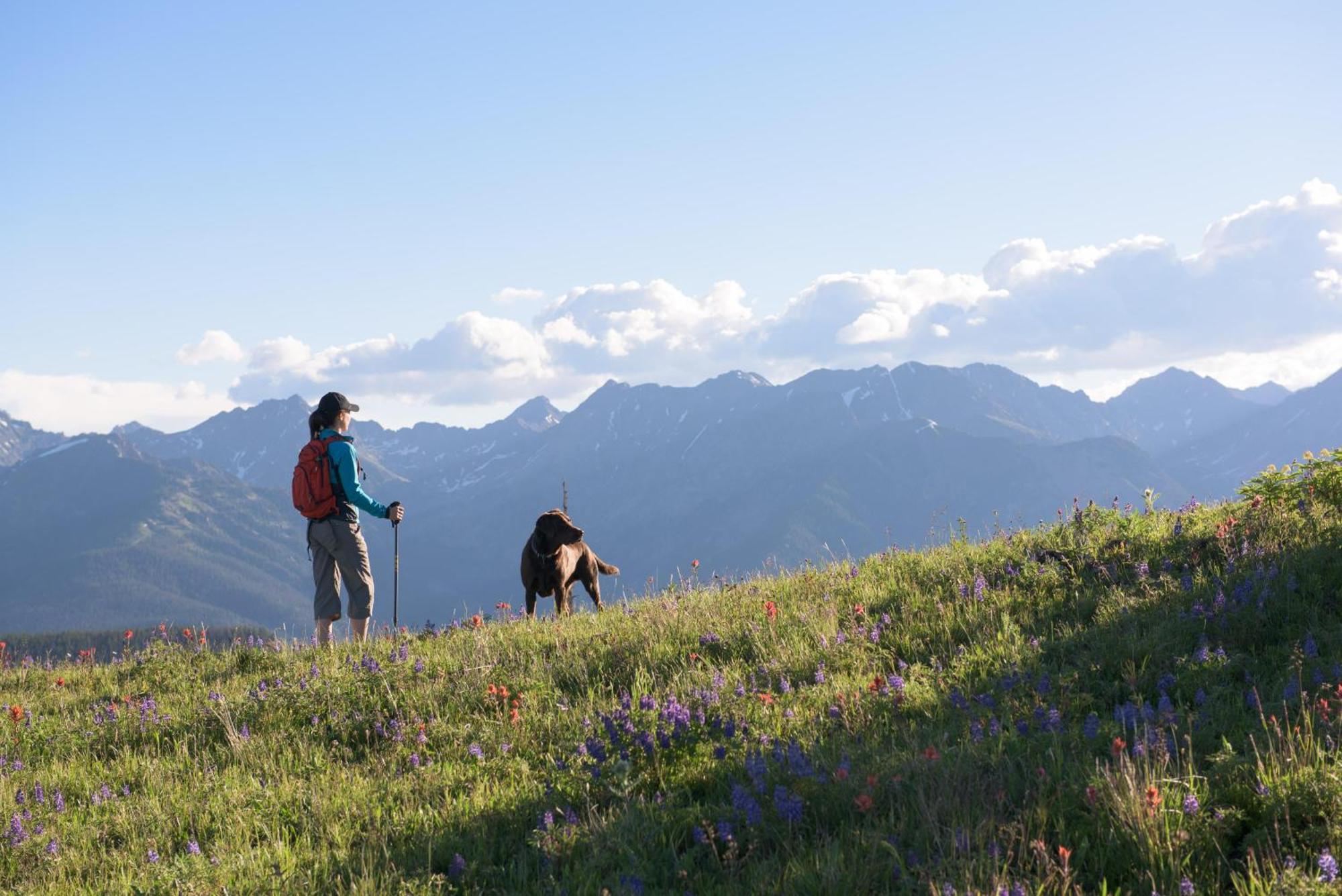 Lift House Lodge, Close To Gondola, Premium Holiday home