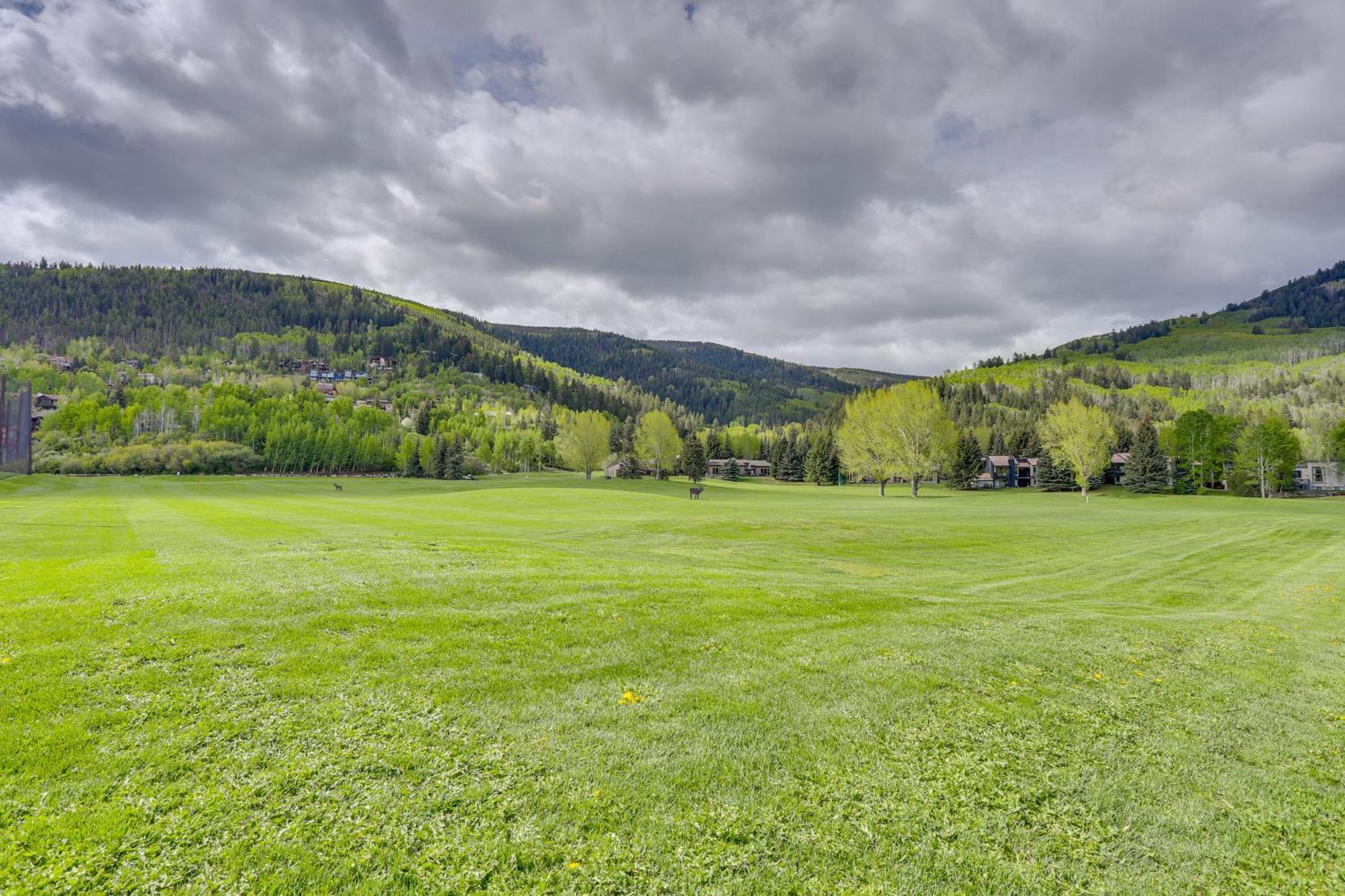 Apartment Eagle-vail Hideaway With Golf, Ski, And More! Vail